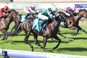 Soft Love Bendigo 18 March 2025